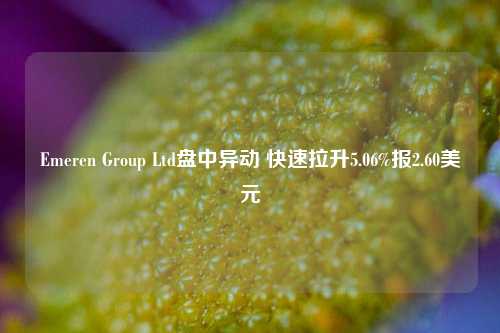 Emeren Group Ltd盘中异动 快速拉升5.06%报2.60美元-第1张图片-十倍杠杆-股票杠杆