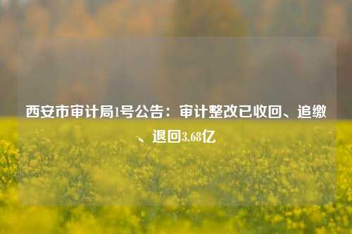 西安市审计局1号公告：审计整改已收回、追缴、退回3.68亿-第1张图片-十倍杠杆-股票杠杆