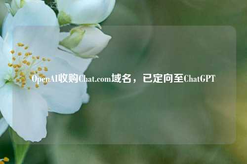 OpenAI收购Chat.com域名，已定向至ChatGPT-第1张图片-十倍杠杆-股票杠杆