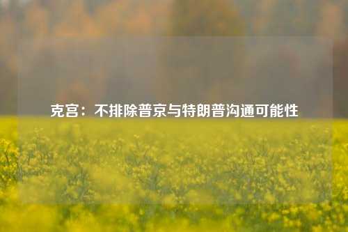 克宫：不排除普京与特朗普沟通可能性-第1张图片-十倍杠杆-股票杠杆