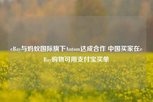 eBay与蚂蚁国际旗下Antom达成合作 中国买家在eBay购物可用支付宝买单-第1张图片-十倍杠杆-股票杠杆