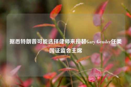 据悉特朗普可能选择律师来接替Gary Gensler任美国证监会主席-第1张图片-十倍杠杆-股票杠杆