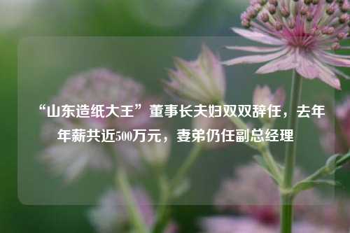 “山东造纸大王”董事长夫妇双双辞任，去年年薪共近500万元，妻弟仍任副总经理-第1张图片-十倍杠杆-股票杠杆