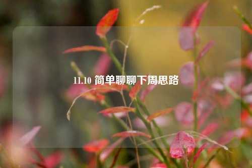 11.10 简单聊聊下周思路-第1张图片-十倍杠杆-股票杠杆