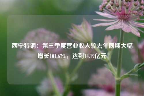 西宁特钢：第三季度营业收入较去年同期大幅增长101.67%，达到14.19亿元-第1张图片-十倍杠杆-股票杠杆