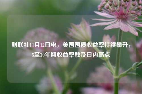 财联社11月12日电，美国国债收益率持续攀升，5至30年期收益率触及日内高点-第1张图片-十倍杠杆-股票杠杆