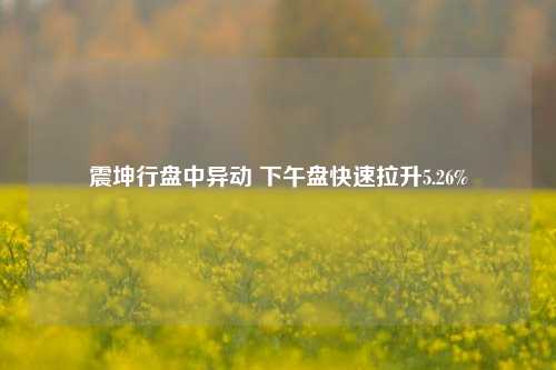 震坤行盘中异动 下午盘快速拉升5.26%-第1张图片-十倍杠杆-股票杠杆