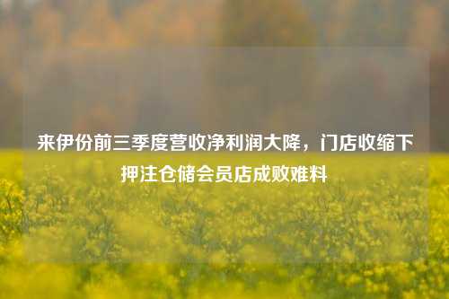 来伊份前三季度营收净利润大降，门店收缩下押注仓储会员店成败难料-第1张图片-十倍杠杆-股票杠杆