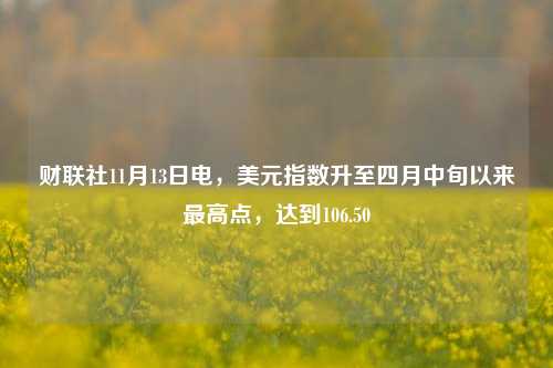 财联社11月13日电，美元指数升至四月中旬以来最高点，达到106.50-第1张图片-十倍杠杆-股票杠杆