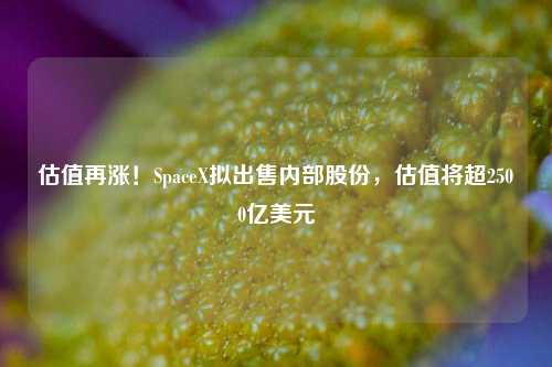 估值再涨！SpaceX拟出售内部股份，估值将超2500亿美元-第1张图片-十倍杠杆-股票杠杆