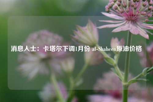 消息人士：卡塔尔下调1月份 al-Shaheen原油价格-第1张图片-十倍杠杆-股票杠杆