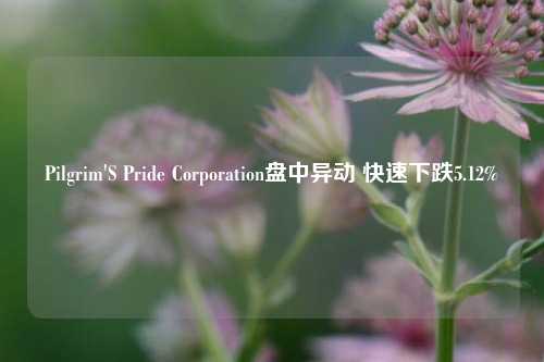 Pilgrim'S Pride Corporation盘中异动 快速下跌5.12%-第1张图片-十倍杠杆-股票杠杆