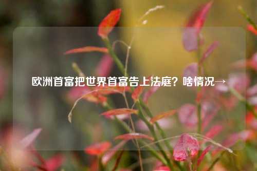 欧洲首富把世界首富告上法庭？啥情况→-第1张图片-十倍杠杆-股票杠杆