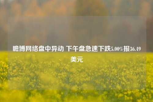 瞻博网络盘中异动 下午盘急速下跌5.00%报36.49美元-第1张图片-十倍杠杆-股票杠杆