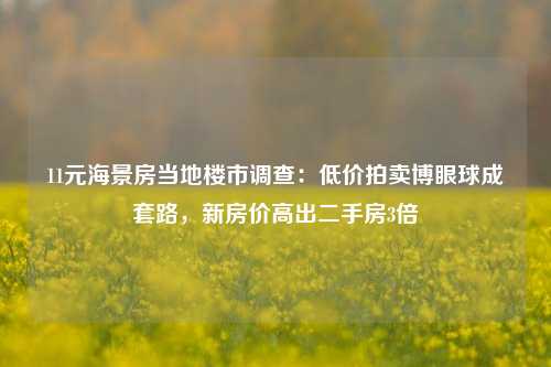 11元海景房当地楼市调查：低价拍卖博眼球成套路，新房价高出二手房3倍-第1张图片-十倍杠杆-股票杠杆