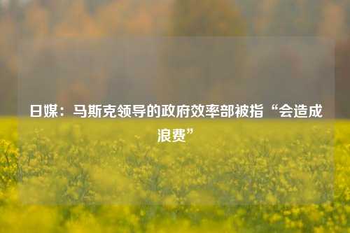 日媒：马斯克领导的政府效率部被指“会造成浪费”-第1张图片-十倍杠杆-股票杠杆