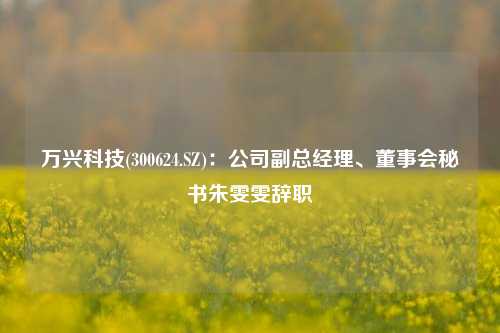 万兴科技(300624.SZ)：公司副总经理、董事会秘书朱雯雯辞职-第1张图片-十倍杠杆-股票杠杆