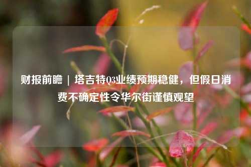 财报前瞻 | 塔吉特Q3业绩预期稳健，但假日消费不确定性令华尔街谨慎观望-第1张图片-十倍杠杆-股票杠杆