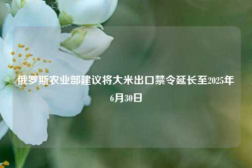 俄罗斯农业部建议将大米出口禁令延长至2025年6月30日-第1张图片-十倍杠杆-股票杠杆