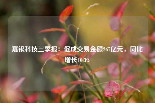 嘉银科技三季报：促成交易金额267亿元，同比增长10.3%-第1张图片-十倍杠杆-股票杠杆