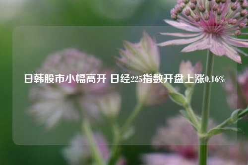 日韩股市小幅高开 日经225指数开盘上涨0.16%-第1张图片-十倍杠杆-股票杠杆