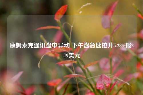 康姆泰克通讯盘中异动 下午盘急速拉升5.28%报2.79美元-第1张图片-十倍杠杆-股票杠杆