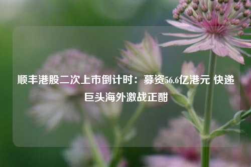 顺丰港股二次上市倒计时：募资56.6亿港元 快递巨头海外激战正酣-第1张图片-十倍杠杆-股票杠杆