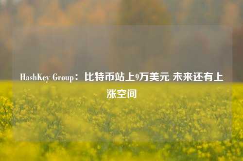 HashKey Group：比特币站上9万美元 未来还有上涨空间-第1张图片-十倍杠杆-股票杠杆