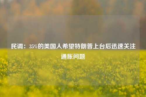 民调：35%的美国人希望特朗普上台后迅速关注通胀问题-第1张图片-十倍杠杆-股票杠杆